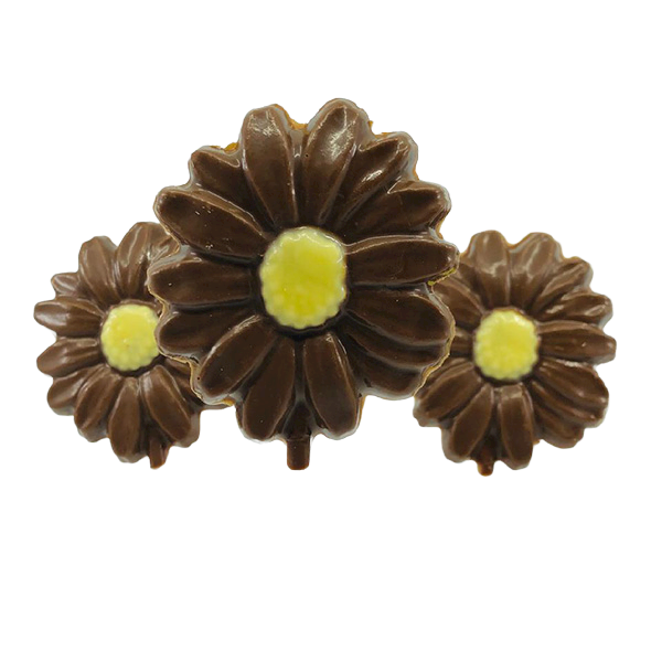 chocolate daisy with a yellow center