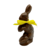 Chocolate Mold - Pete the Rabbit
