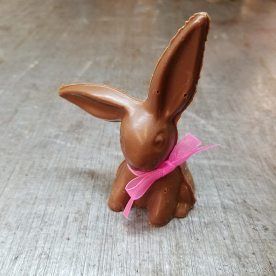 floppy eared bunny toy