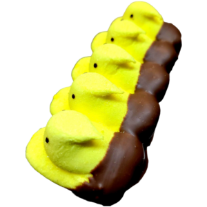 yellow marshmallow peeps dipped in chocolate
