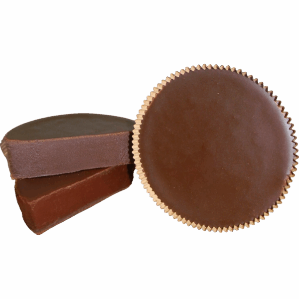 Chocolate Fudge