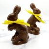 Chocolate Mold - Pete the Rabbit - Image 2